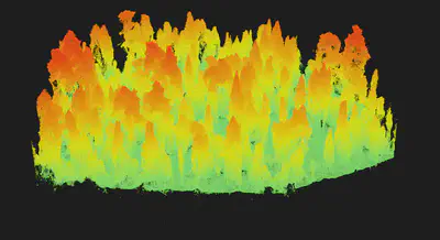 Visualization of a 3D point cloud from our Emerald Point site produced via photogrammetry.